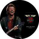 Bon Jovi - Rock The Stage In 2001 (12 Picture-Lp)