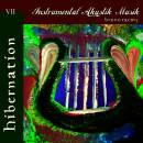 Raemy Bruno - Hibernation/VII