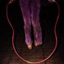 Buffalo Tom - Jump Rope