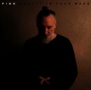 Fink - Beauty In Your Wake (CD)