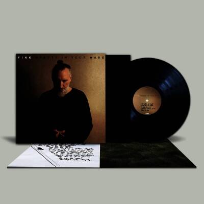 Fink - Beauty In Your Wake (Black Vinyl LP)
