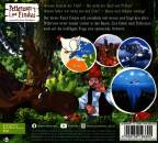 Pettersson & Findus - Findus erklaert: Eine Kugel namens Erde