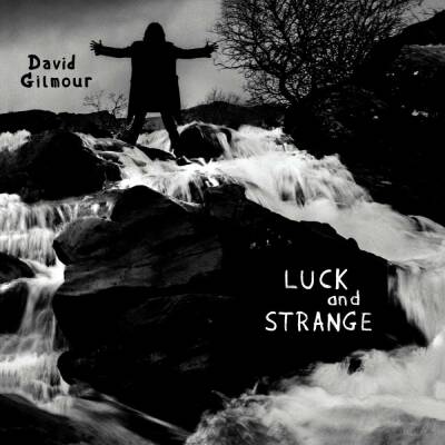 Gilmour David - Luck And Strange (Black Vinyl)