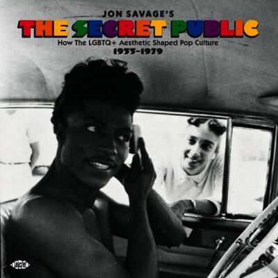 Jon Savage´s The Secret Public-LGBTQ Pop Culture (Diverse Interpreten)