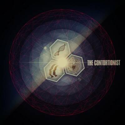 Contortionist, The - Intrinsic