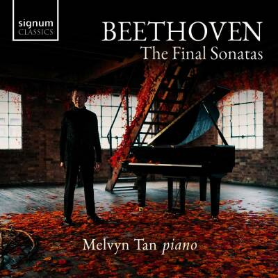 Beethoven Ludwig van - Final Sonatas, The (Tan Melvyn)