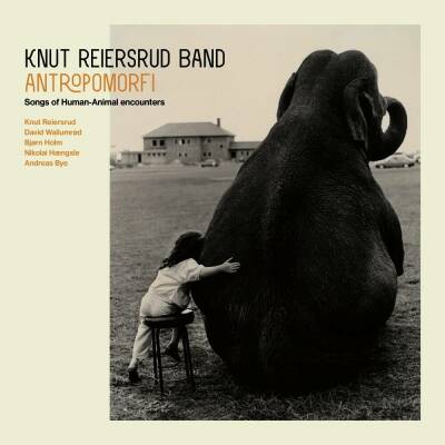Reiersrud Knut Band - Reiersrud,Knut Band-Antropomorfi