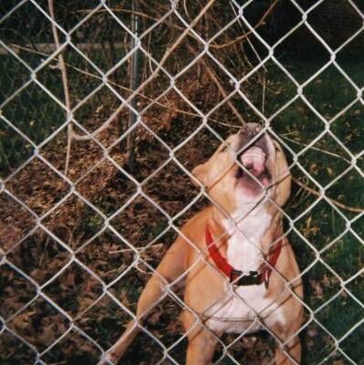 Knocked Loose - POP CULTURE