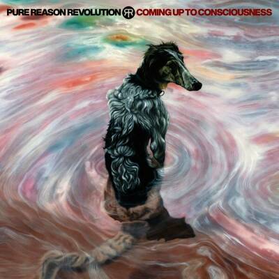 Pure Reason Revolution - Coming Up To Consciousness (Ltd.)