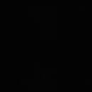 Staples Vince - Dark Times