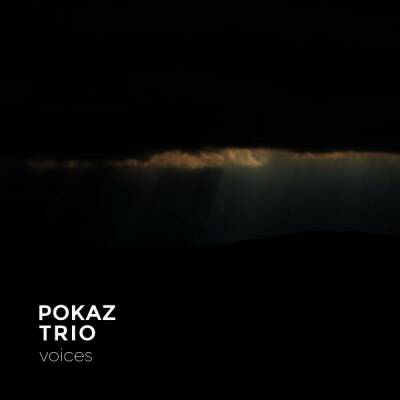 Pokaz Trio - Voices