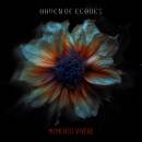Haven of Echoes - MEMENTO VIVERE