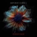Haven of Echoes - MEMENTO VIVERE
