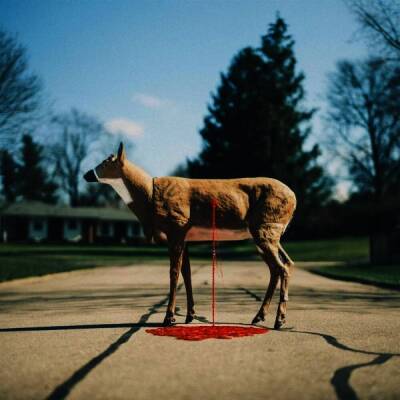 Graham Wayne - Bastion