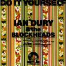 Ian Dury - DO IT YOURSELF (MINI REPLICA SLEEVE)