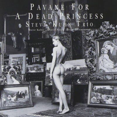 Kuhn Steve Trio - Pavane For A Dead Princess