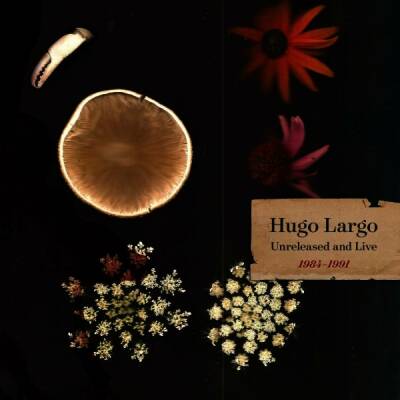 Largo Hugo - Huge,Large And Electric: Hugo Largo 1984-1991