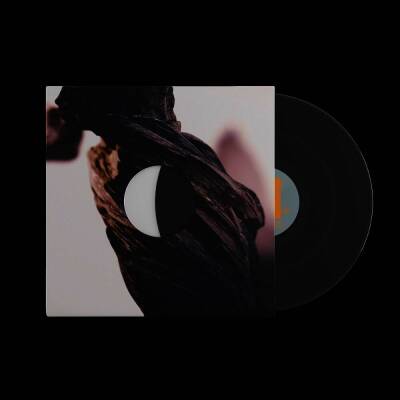 Pixies - The Night The Zombies Came