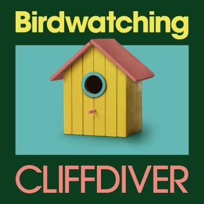 Cliffdiver - Birdwatchin