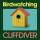 Cliffdiver - Birdwatchin