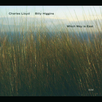Lloyd Charles - Which Way Is East