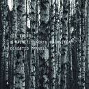 Balke Jon / Magnetic North Orchestra - DIVERTED TRAVELS