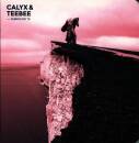 Calyx & TeeBee - FABRICLIVE 76