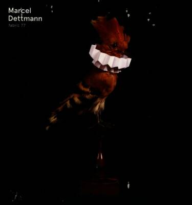 Dettmann Marcel - Fabric 77