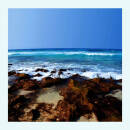 Hawkes Marquis - Fifty Fathoms Deep