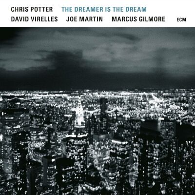 Potter Chris - Dreamer Is Dream, The