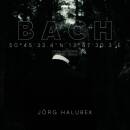 Halubek Jörg - Bach: Organ Landscapes VIII...