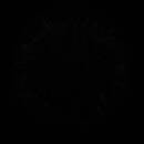 N E O (Near Earth Orbit) - Divine Inferno (Limited Edition)