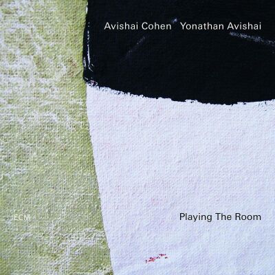 Cohen Avishai - Playing The Room