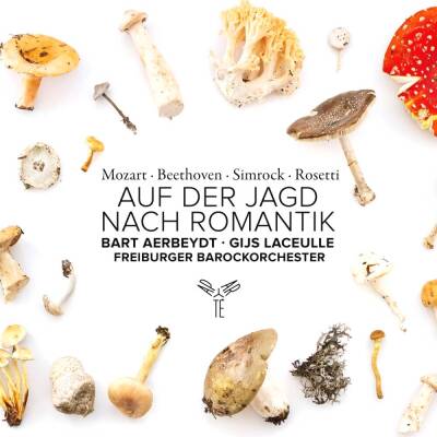 Aerbeydt Bart / Laceulle Gijs - Auf Der Jagd Nach Romantik