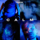 5 Seconds of Summer - Calm (LTD. DELUXE EDT.)