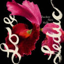 Zucker Fuers Volk (Diverse Interpreten)