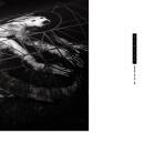 Pixies - Doolittle 25