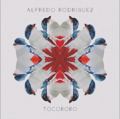 Rodriguez Alfredo - Tocoroco