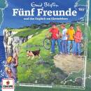 Fünf Freunde - Folge 165: ..und das Unglück am...