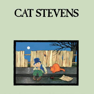 Stevens Cat - TEASER AND THE FIRECAT
