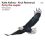 Kalima / Reiersrud - Flying Like Eagles
