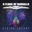 A Flock Of Seagulls - Strings Theory