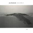 Garbarek Jan - Visible World