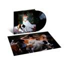 Jones Norah - The Fall