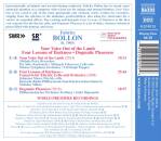 Bollon Fabrice - Your Voice Out of the Lamb: Four Lessons of Darkn (Petri Michala / Salo Per)