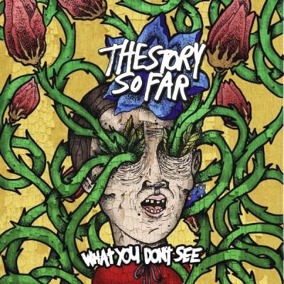 Story So Far, The - What You Don´t See