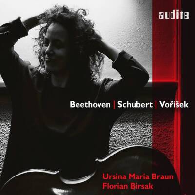 Beethoven Ludwig van / u.a. - Beethoven: Schubert: Vorisek (Braun Ursina Maria / Birsak Florian)