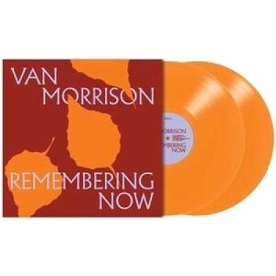 Morrison Van - Remembering Now
