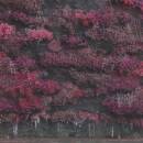 Sleep Token - Even In Arcadia