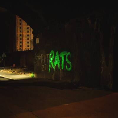 Rats - Rule The World